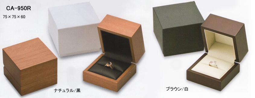 �ؐ��w�փP�[�X